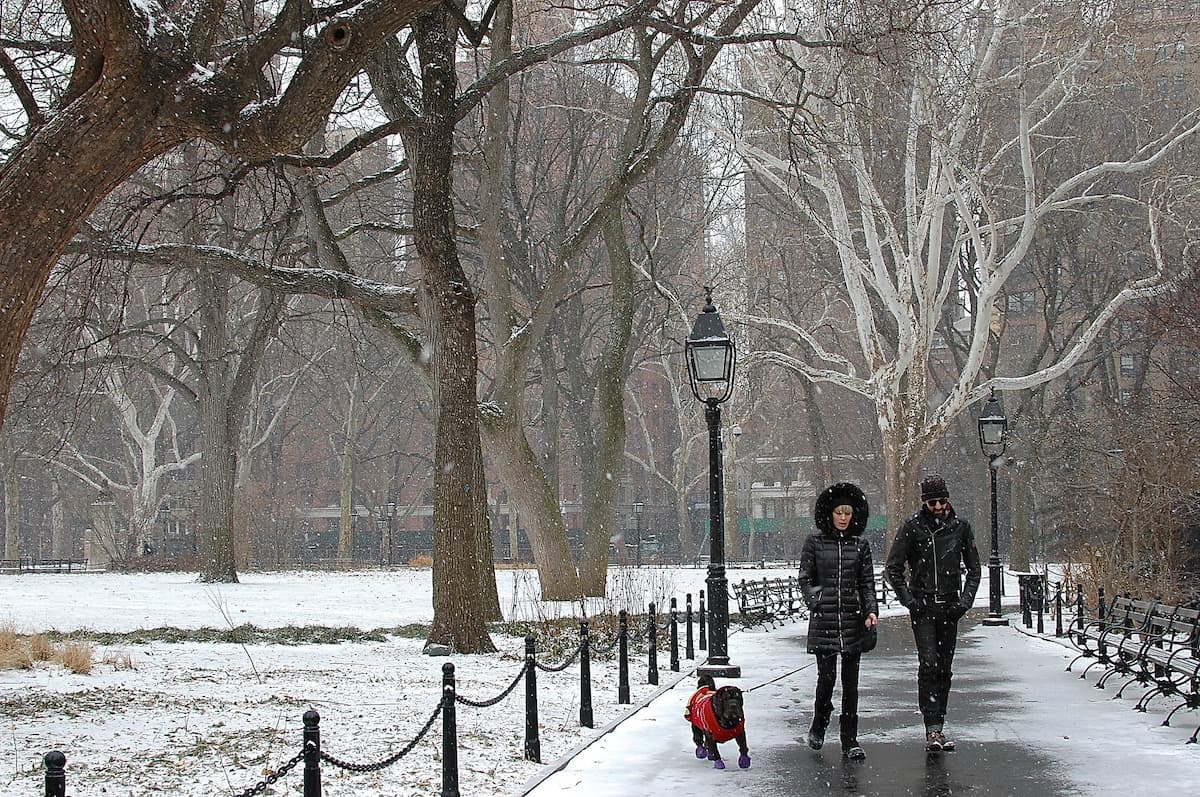 StreetEasy accounts hacked, Staten Island gets seawall funding, & more