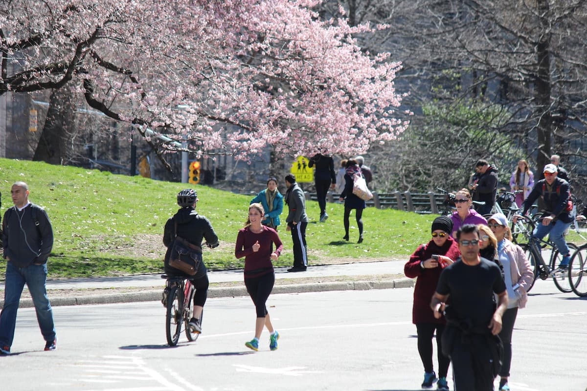 Vote on how to spend city funds, escape to Rat Island, & more 