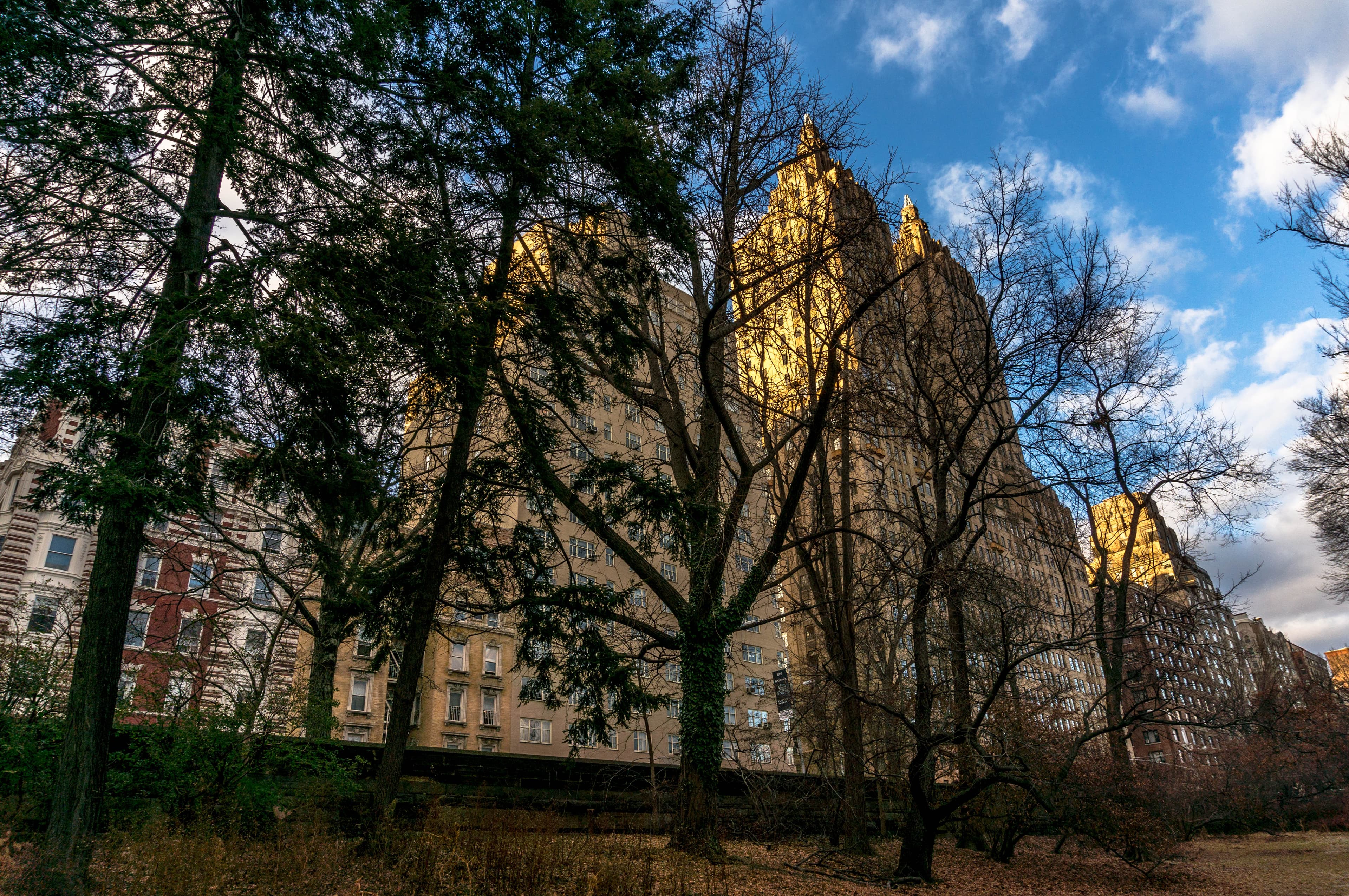 Beware the tenant blacklist, park views cost the biggest bucks, and more