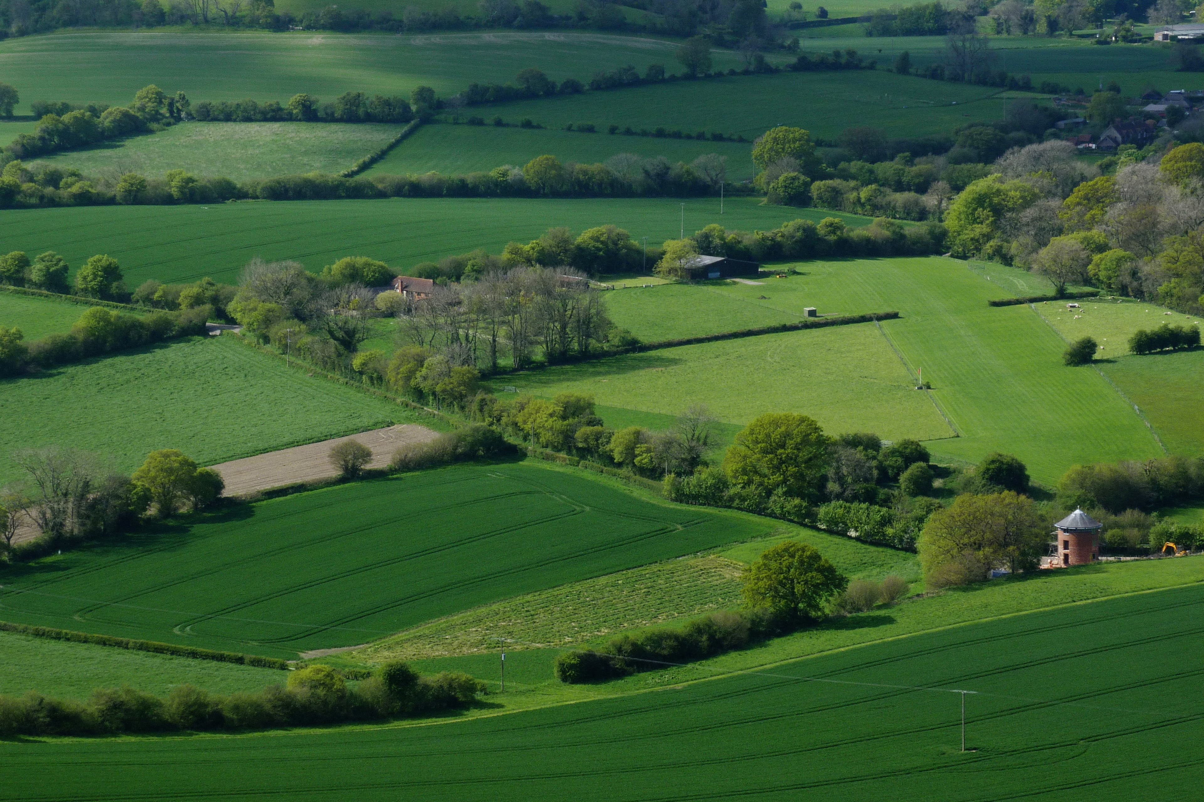 A mountain for the price of a Brooklyn brownstone, serious decorating for your rental, and more