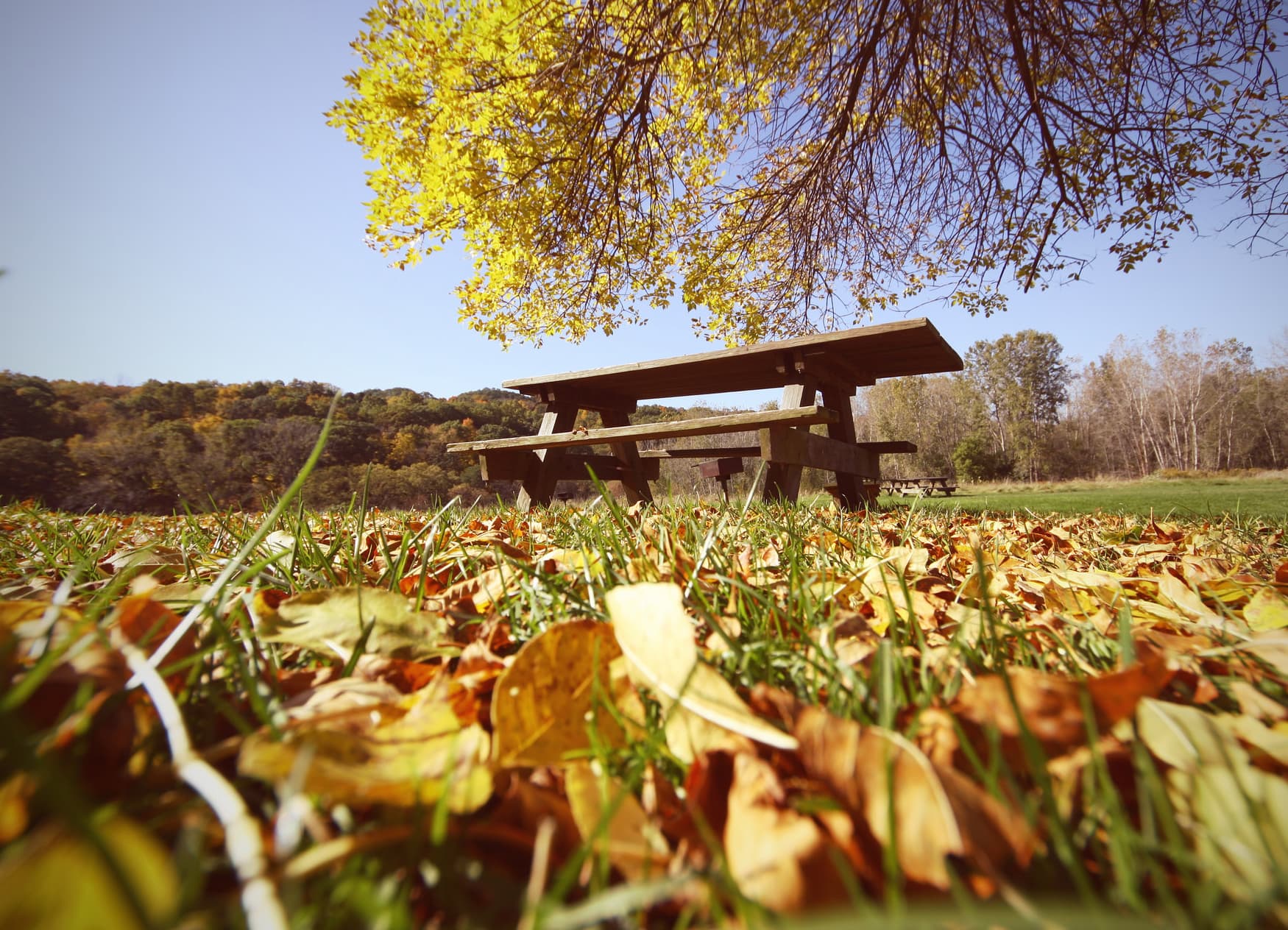 Happy Labor Day from BrickUnderground!