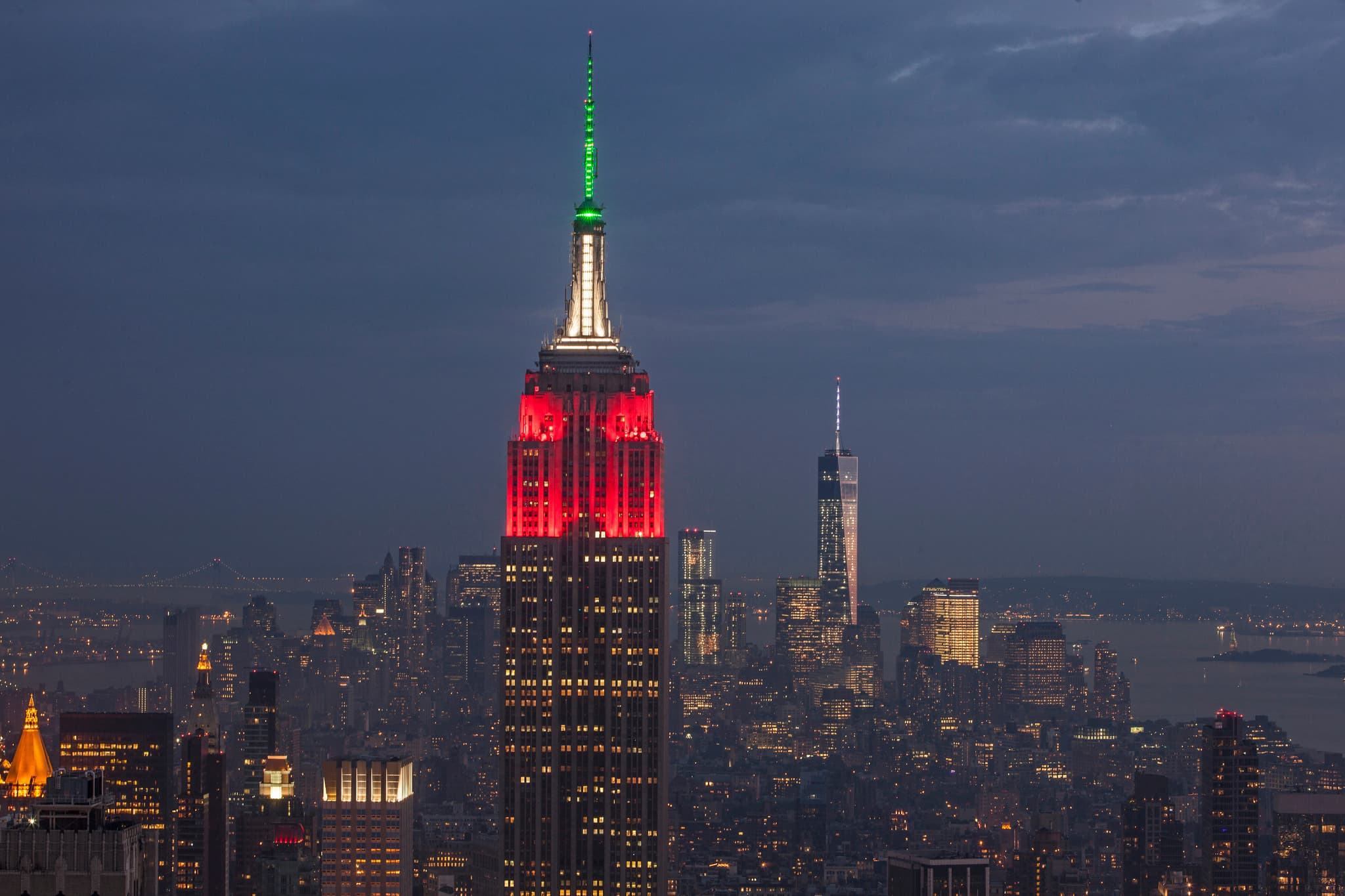 Decode the lights of the Empire State building, double duty house plants, and more