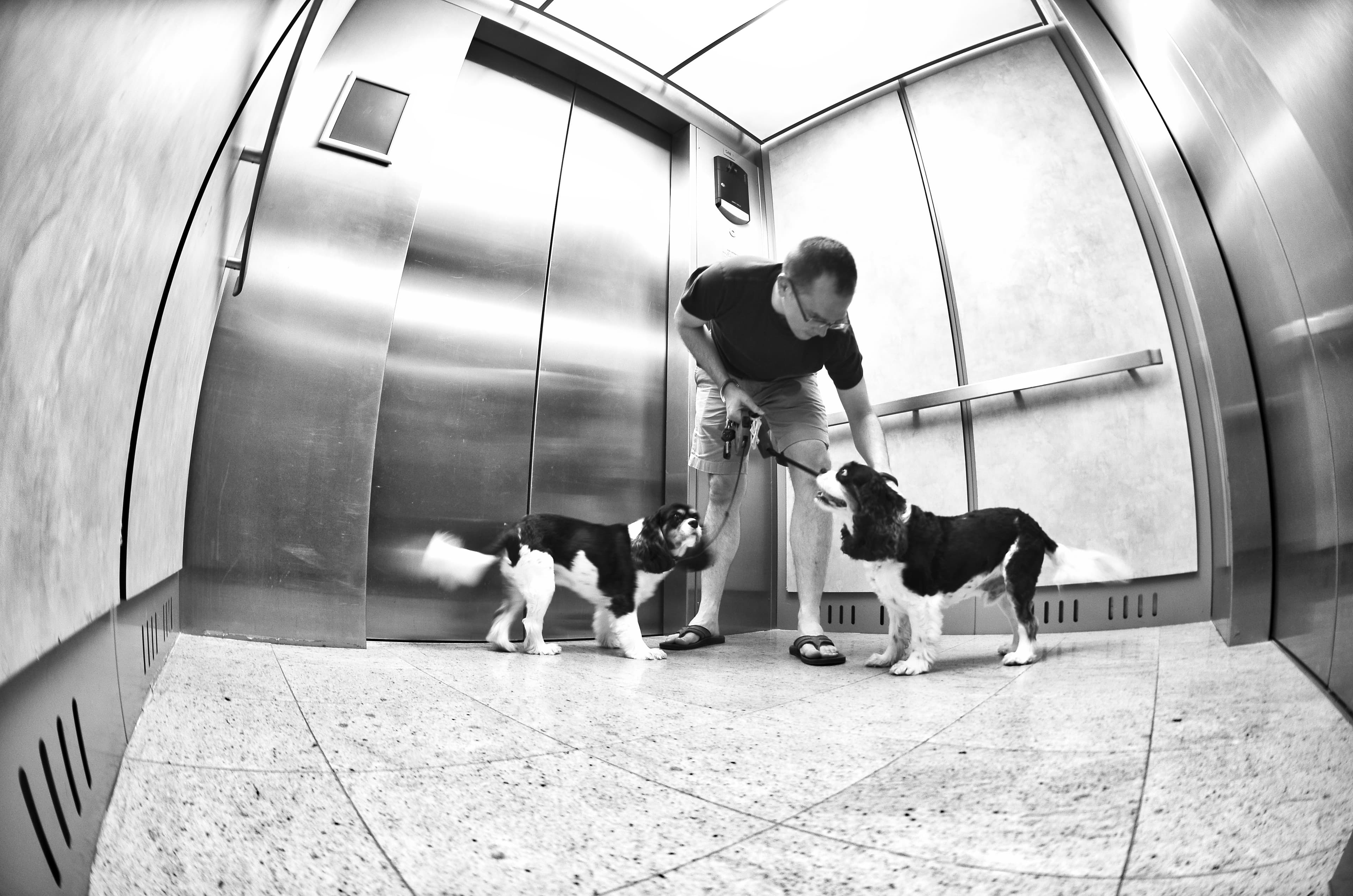 Want a building with all the perks? Manhattan's amenity-heavy nabes ranked