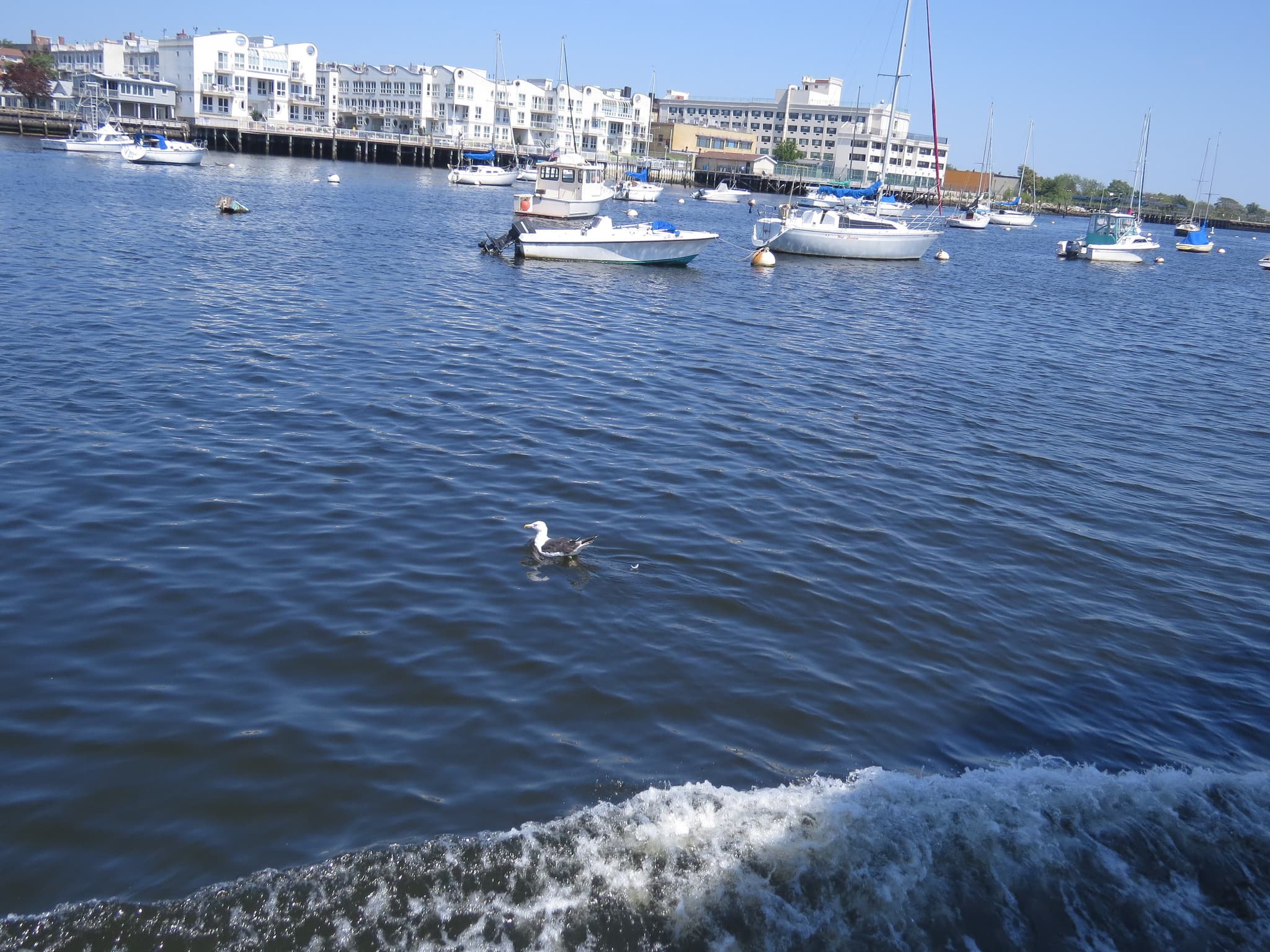 The cheapest Brooklyn neighborhood to rent, the return of the W train, and more