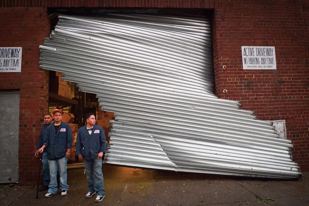 Wasp attack in Queens, Fort Greene Park getting overhaul, more