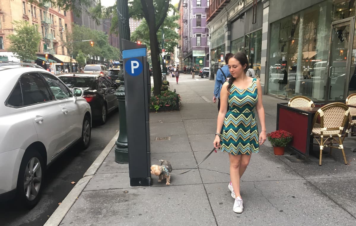 What you need to know about on-demand dog-walking apps, from a walker-for-hire