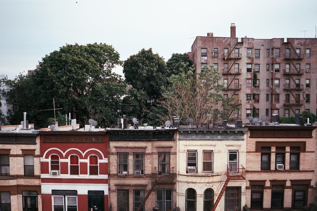Crown Heights: The insider's guide to living there