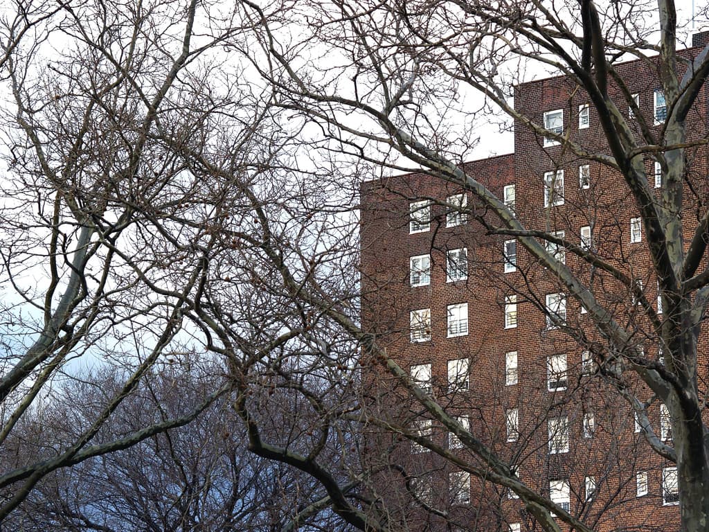 NYCHA's lead inspection cover-up, the case for running the Second Avenue subway into the Bronx, more