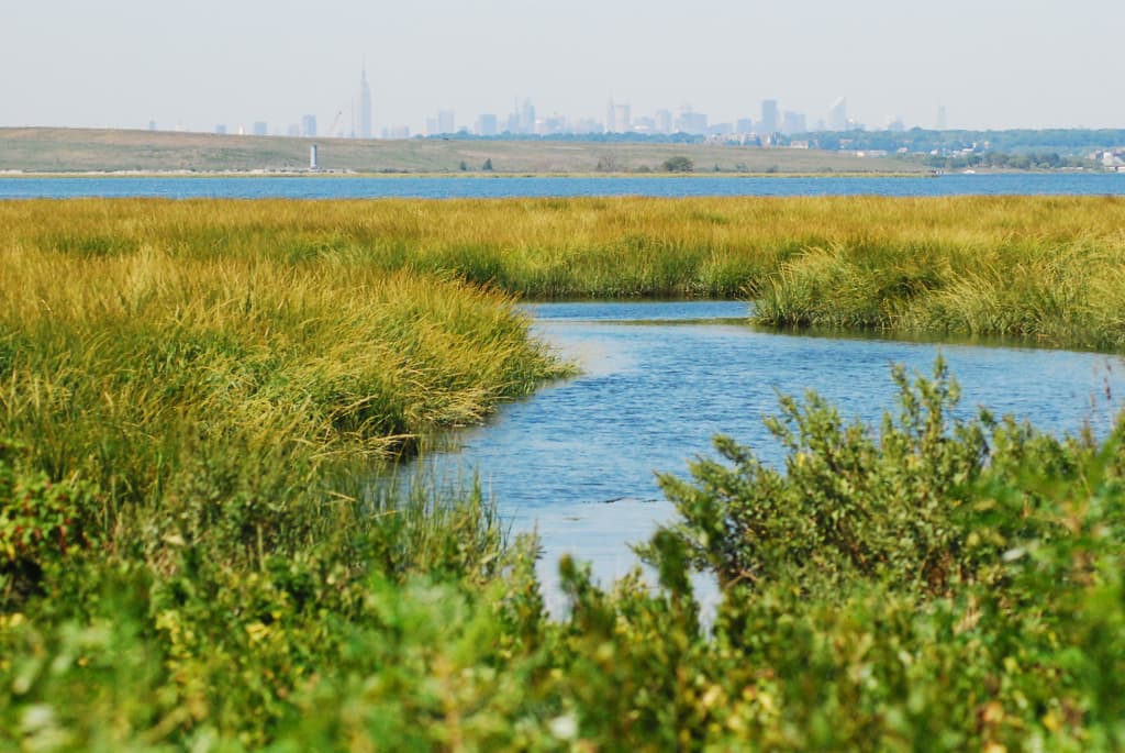 Artist apartments coming to Jamaica, decorators take over Brooklyn Heights townhouse, more