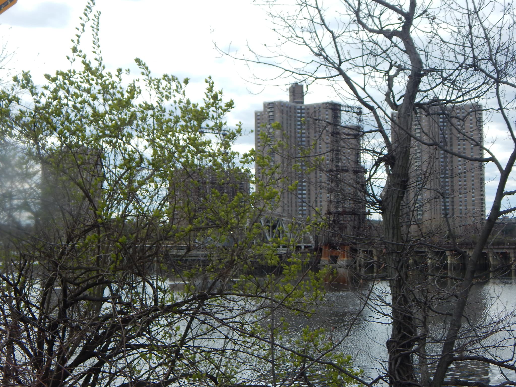 From Murray Hill to Pelham Bay: Gaining more space for one-third the rent