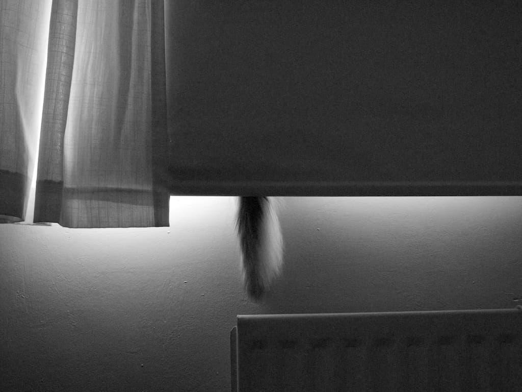 Thinking of buying blackout blinds? Here's what you need to know