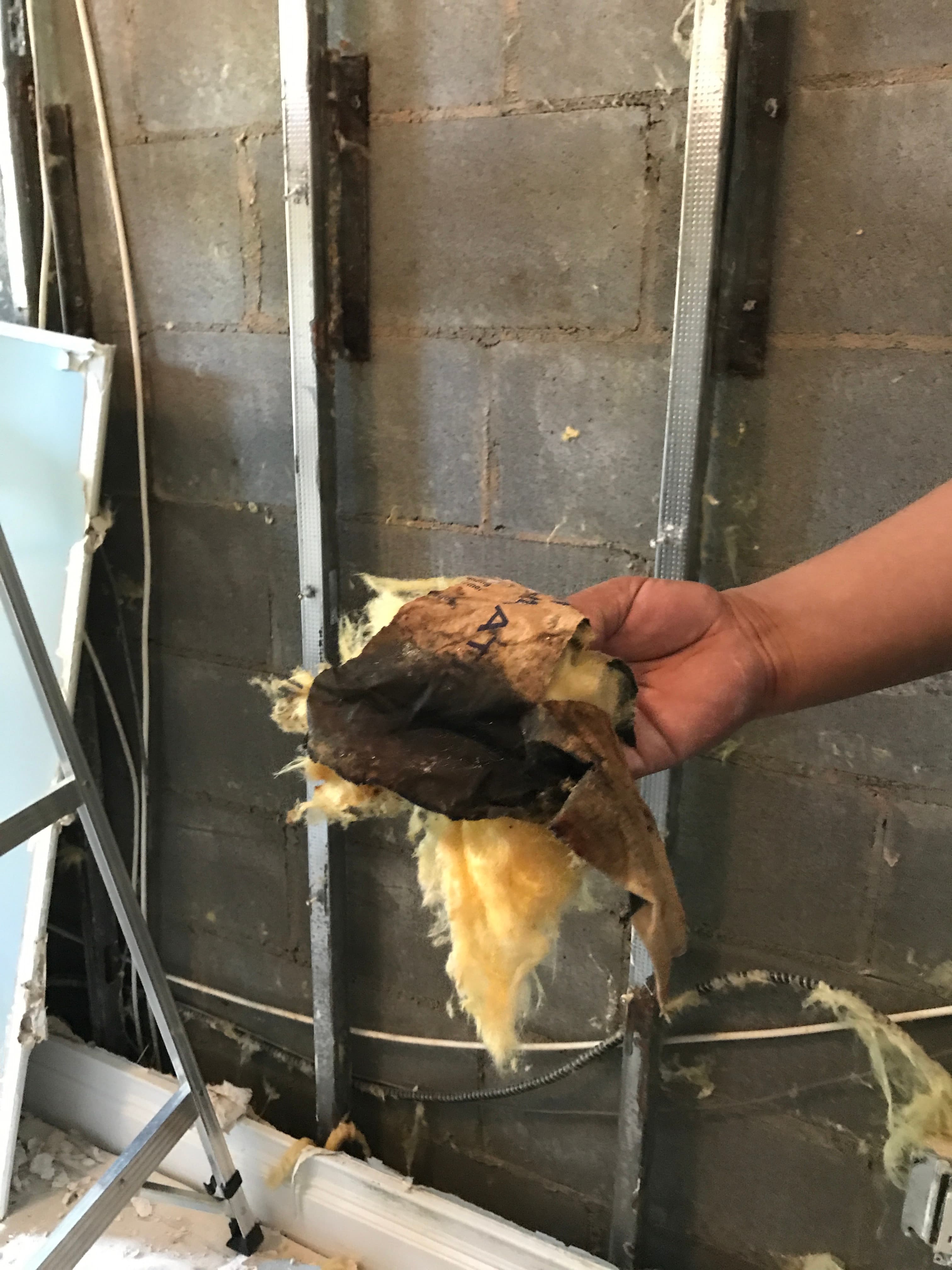 My million-dollar Brooklyn condo has mold