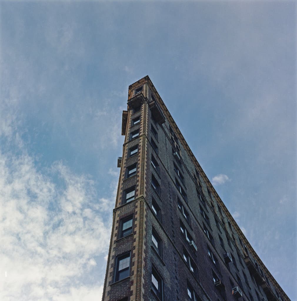 Life in the trees in Hastings, a rent-stabilized subletter gets the boot, more