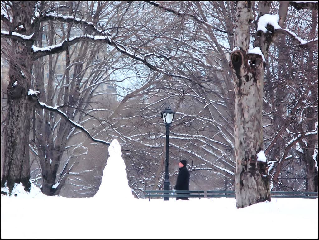 Trump Tower burns, mapping NYC flood risks, more