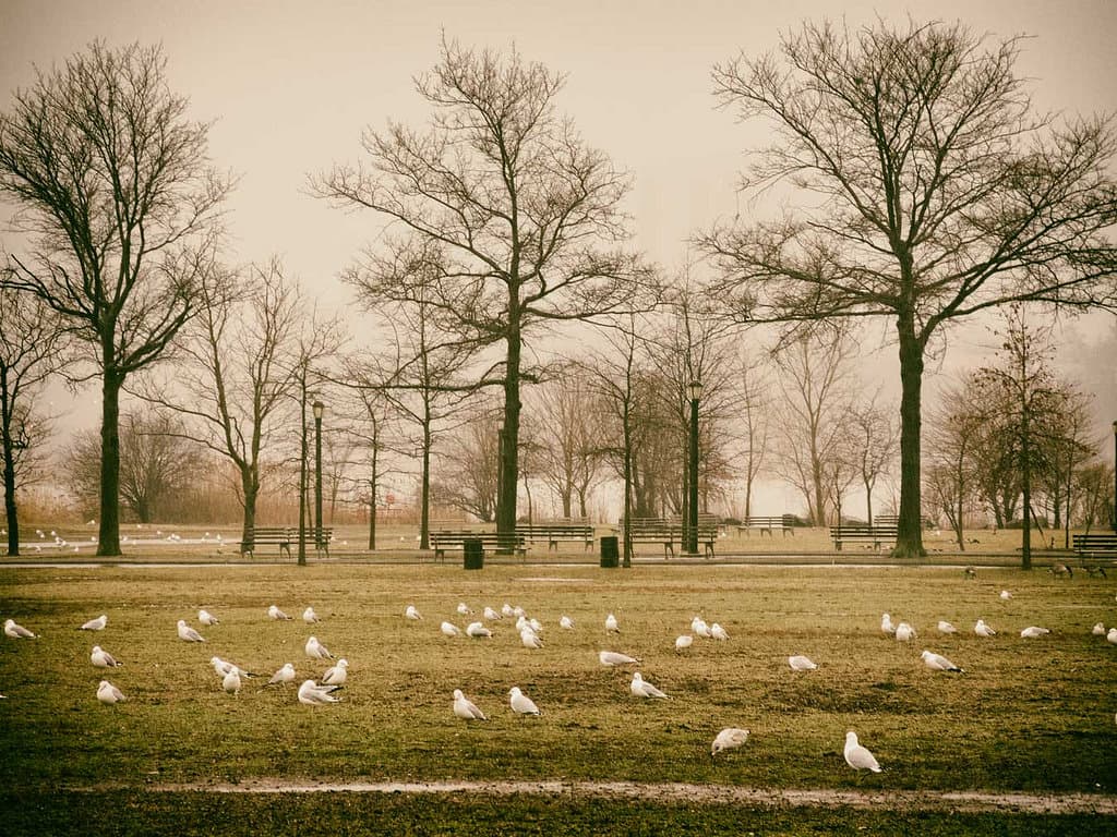 Housing lottery apartments, digging up your building's history, and more of the week's top stories 