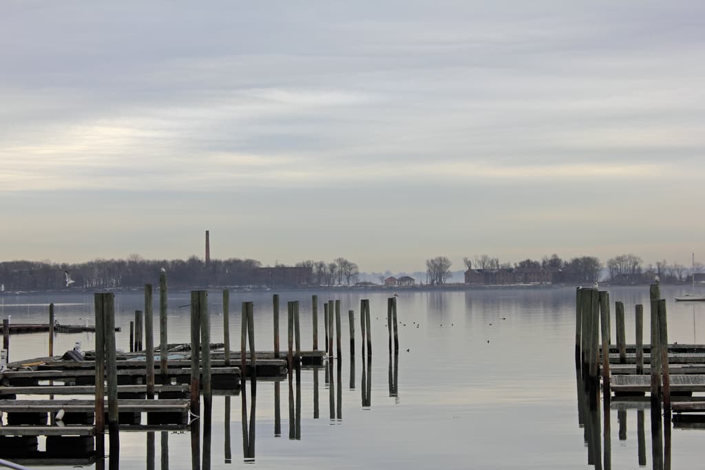 Fighting property tax assessments, the islands of the Bronx, & more