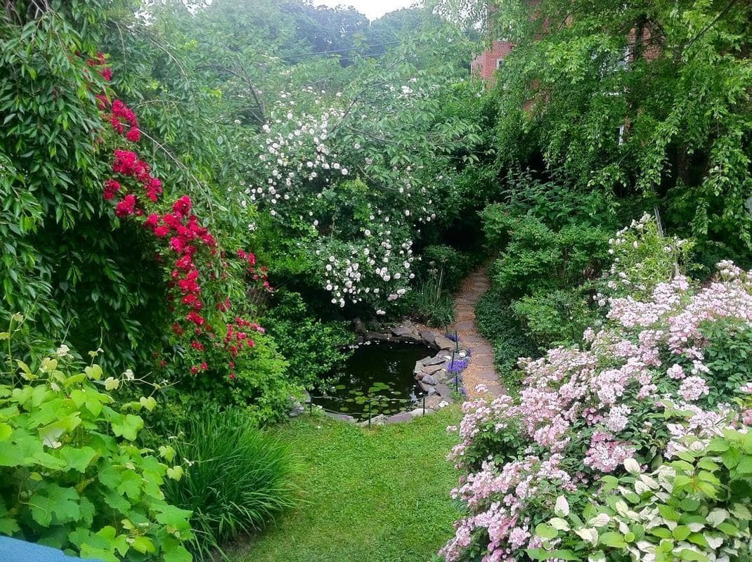 Relax by the koi pond in the backyard of this Windsor Terrace townhouse 