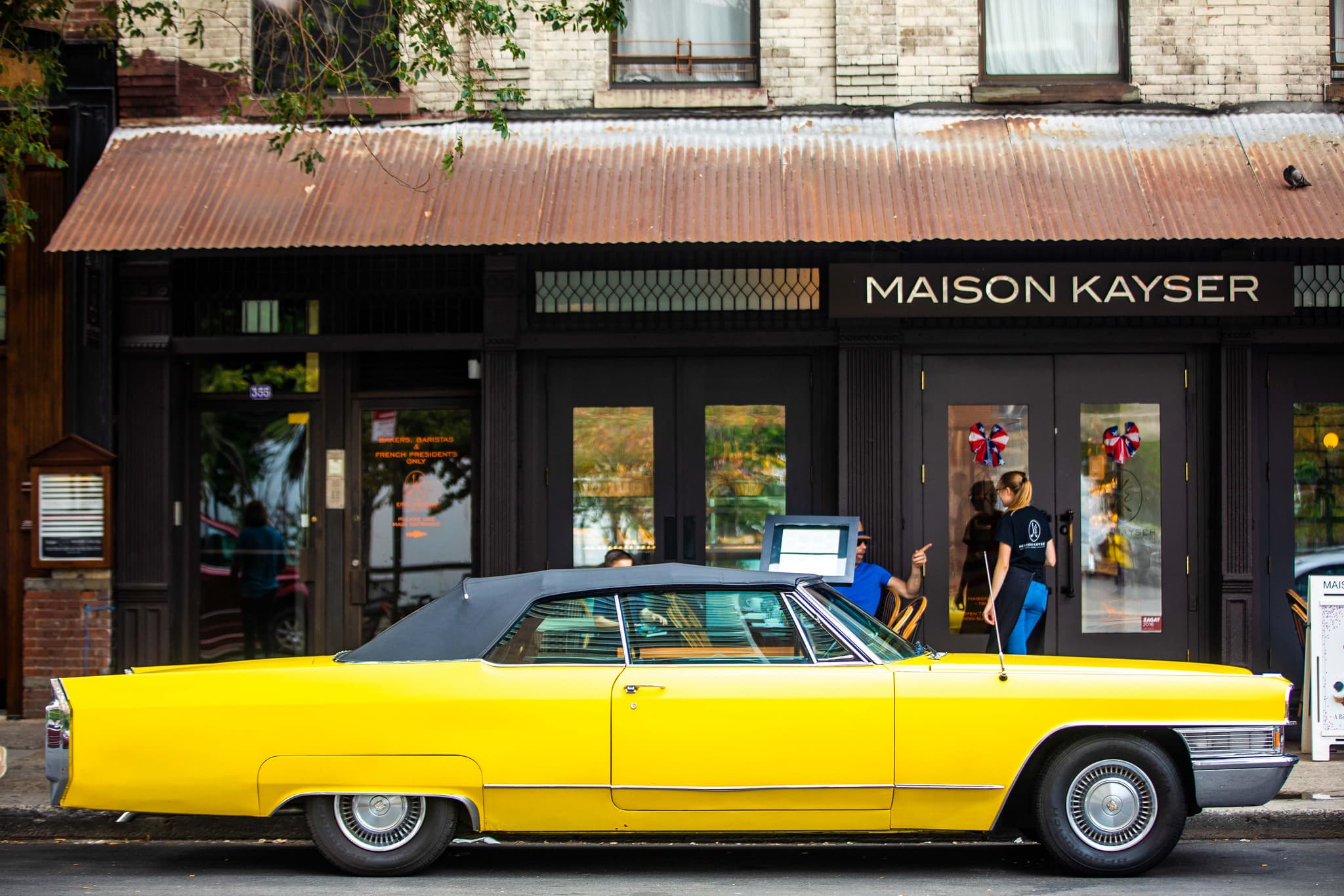 The South Bronx development boom mapped, battling Brooklyn rats with cats, & more