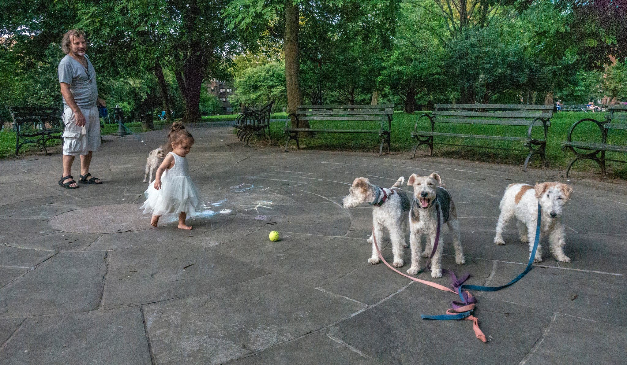 Brownsville to get 900 affordable apartments, shark tanks are the hot new luxury home item, & more