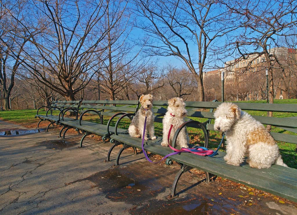 Affordable housing crisis threatens NYC, tips to handle a landlord trying to evict you, & more