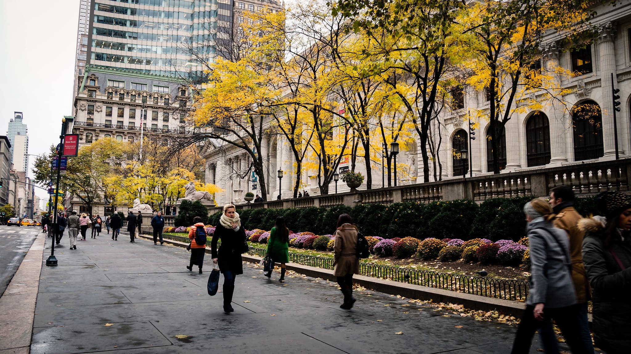 Modern buildings rise in Crown Heights, pointing fingers in NYCHA lead exposures, & more