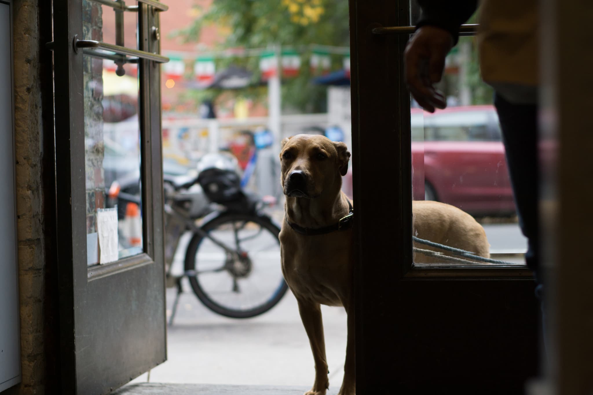 My co-op is changing its rules about pets. I'm a dog owner. What can I do? 