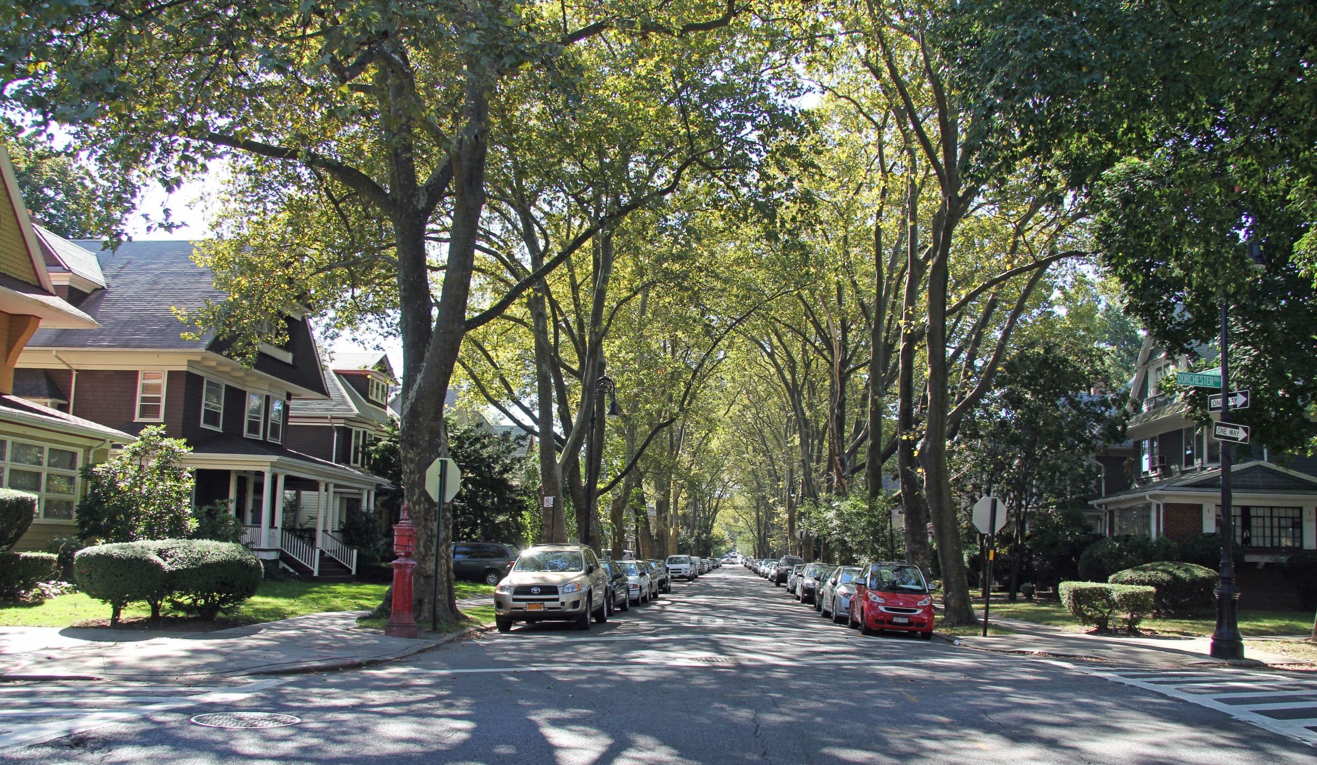 The Insider's Guide to Ditmas Park, Brooklyn