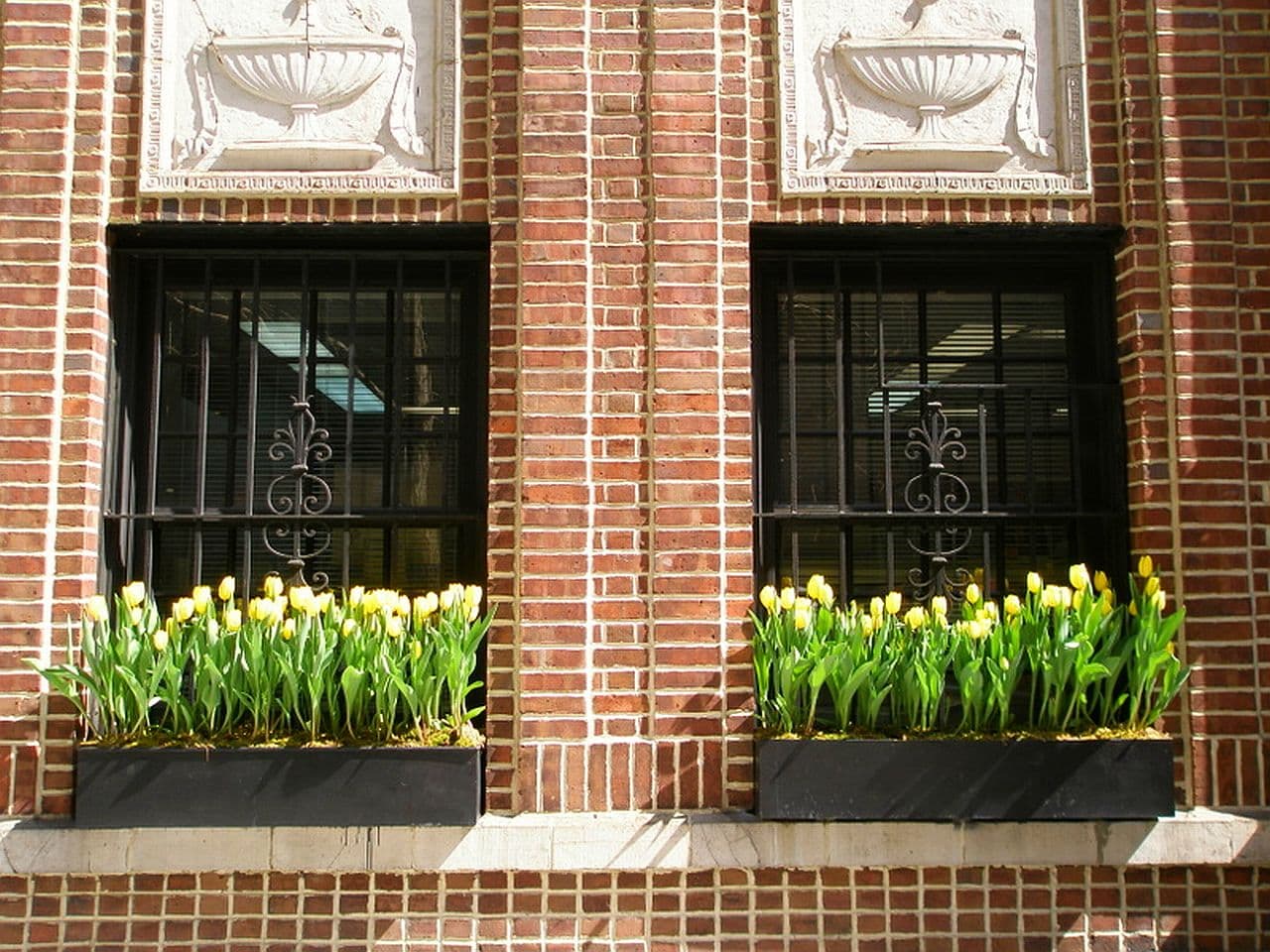 Street-level apartments: great for musicians, not so nice for cat lovers