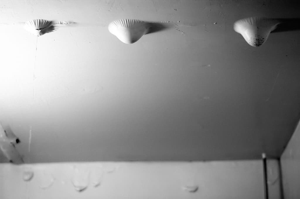 Room for Improvement: Wishing for a quieter apartment, a bathroom that doesn't rain and more