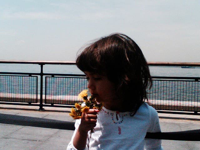 Is Battery Park City the most family-friendly New York 'hood?