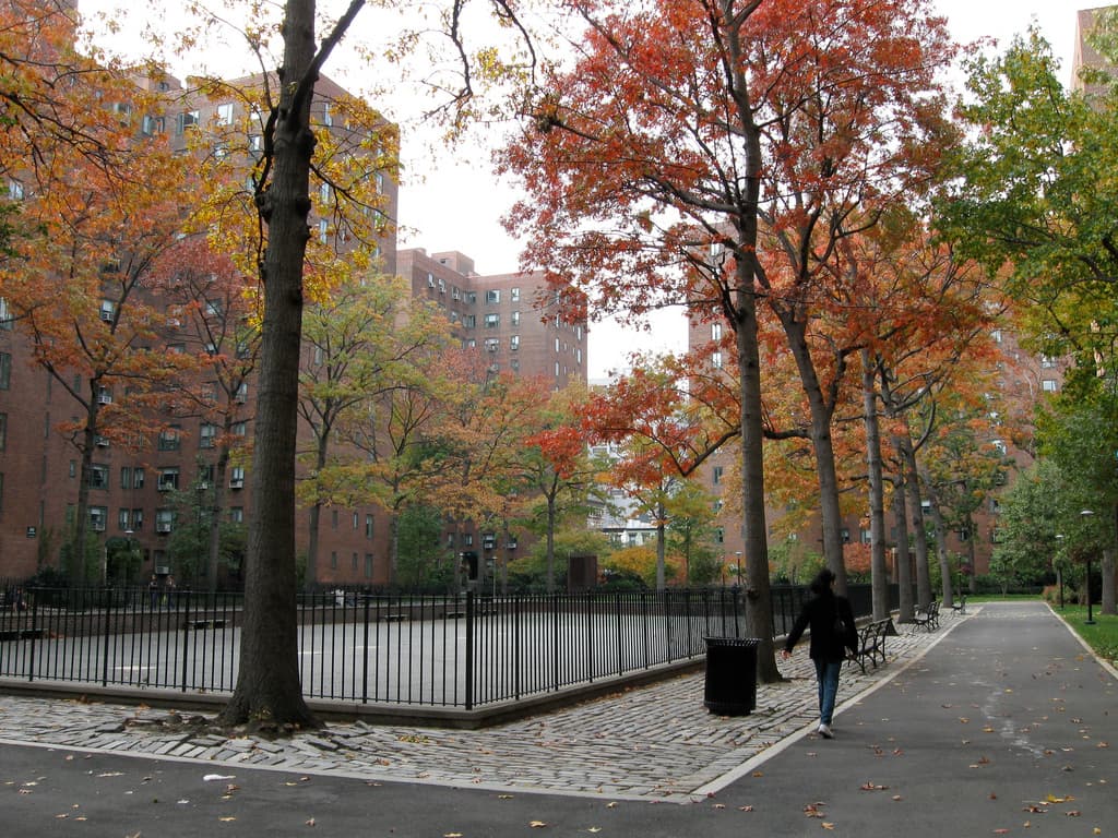 Ask Sam: My rent-stabilized building is being sold. How do I protect myself from being pushed out? 