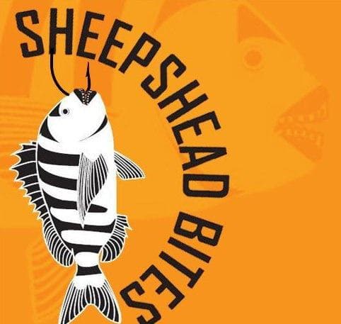 Confessions of a Neighborhood Blogger:  "Put on some big boy pants" and open your minds to Sheepshead Bay