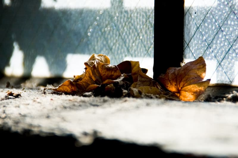 Room for Improvement: Yearning for quieter, adjustable heat, warmer windows and a place to store food