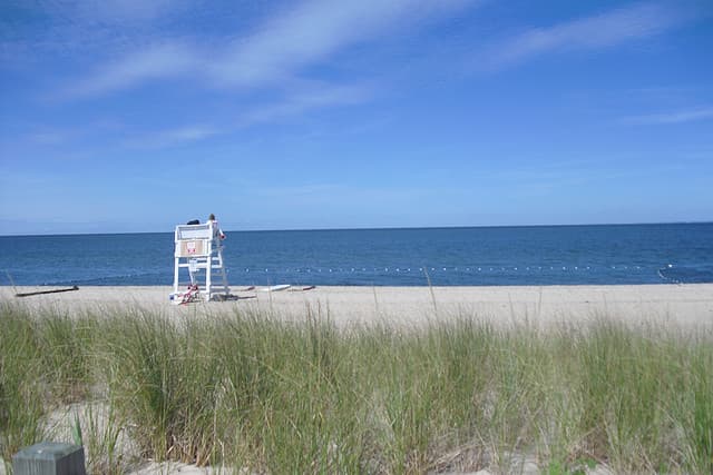 The New Yorker’s Guide to the North Fork