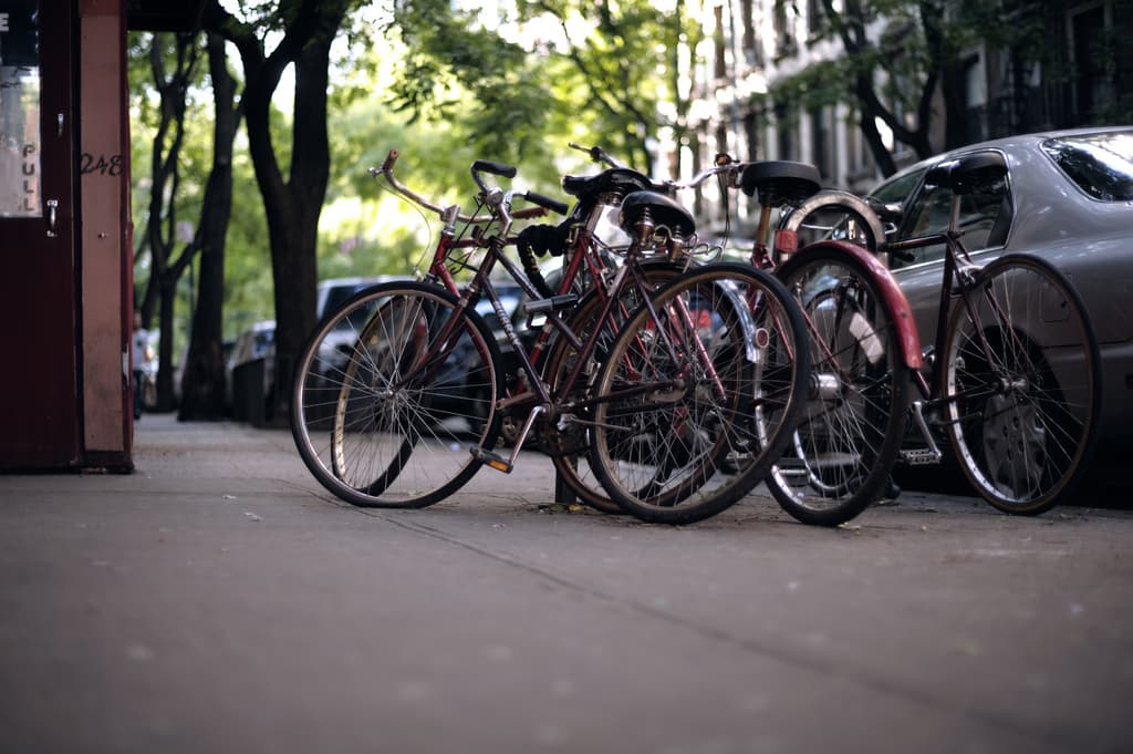 NYC a 'biking world,' Brooklyn's greenest block, more