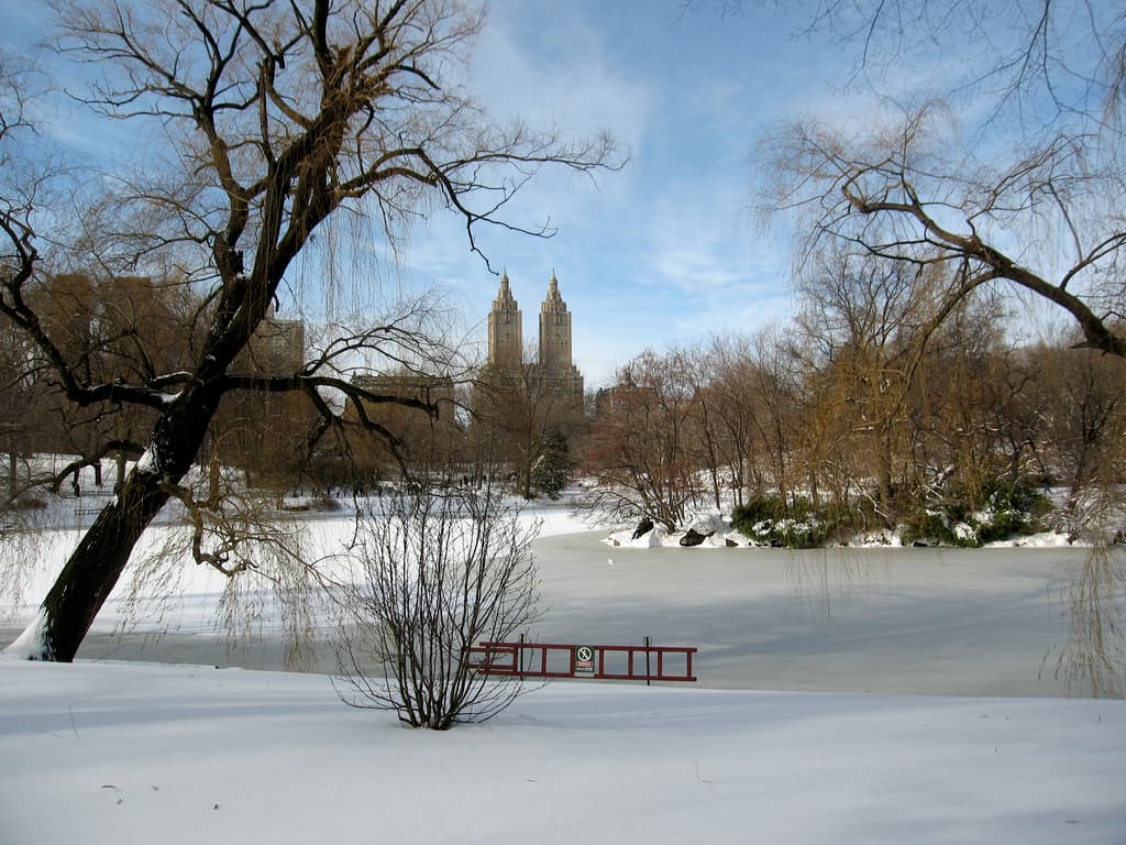 Vintage NYC snow photos, where wealthy renters are moving, and more