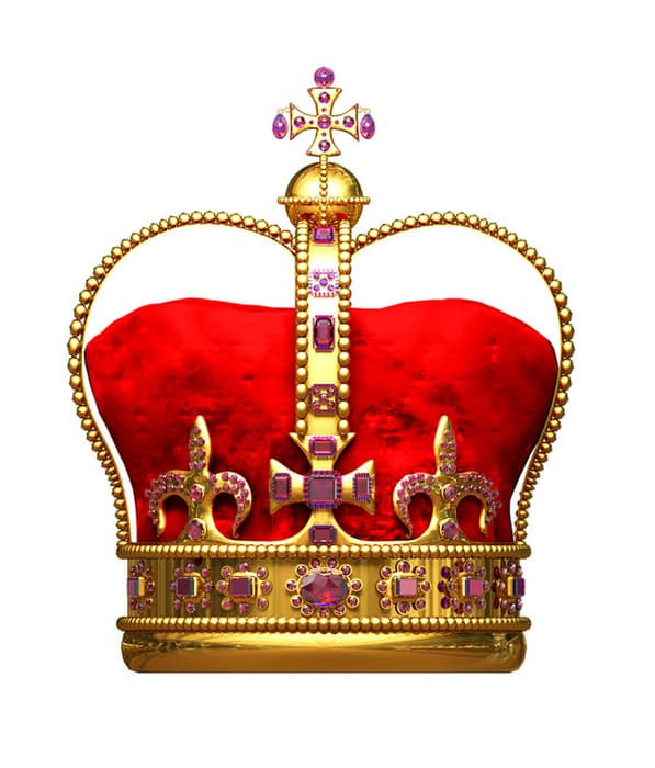 NY Mag names best bed bug exterminator of the year. Guess who?  