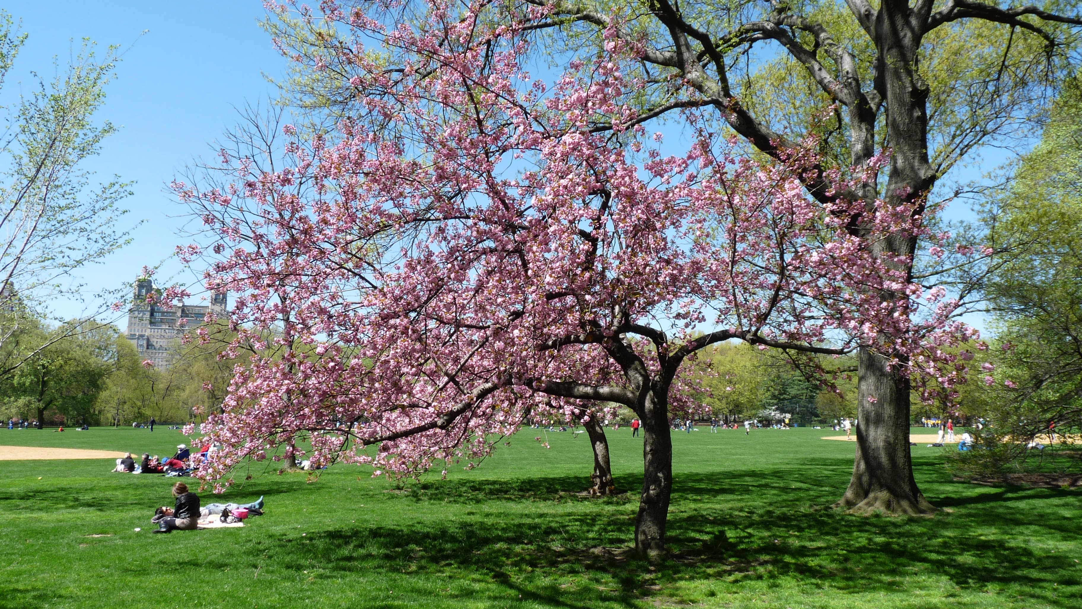 Rate a home's flip-worthiness, decoding Craigslist's rental jargon, and more