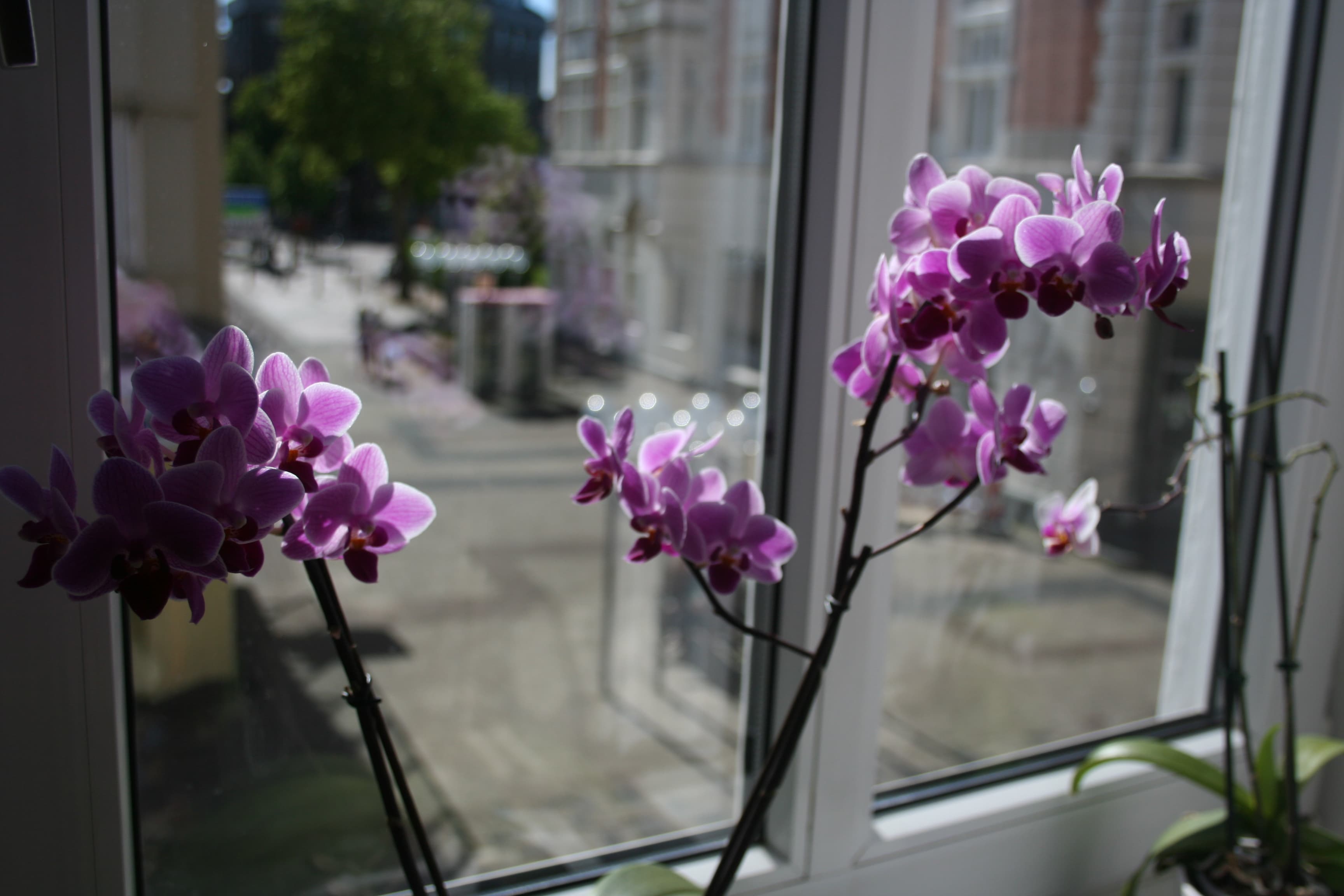 From random roommate to bestie in five steps, how going from renter to owner changes your politics, and more