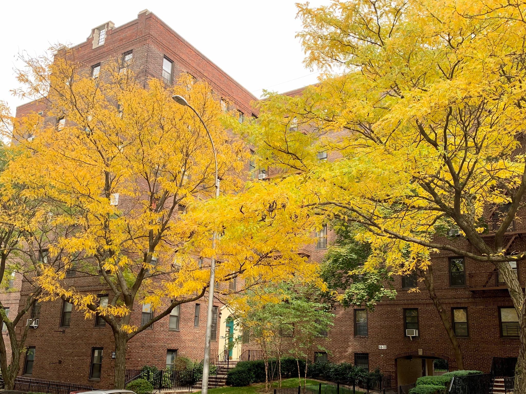 Can my building's super be on our co-op board? 