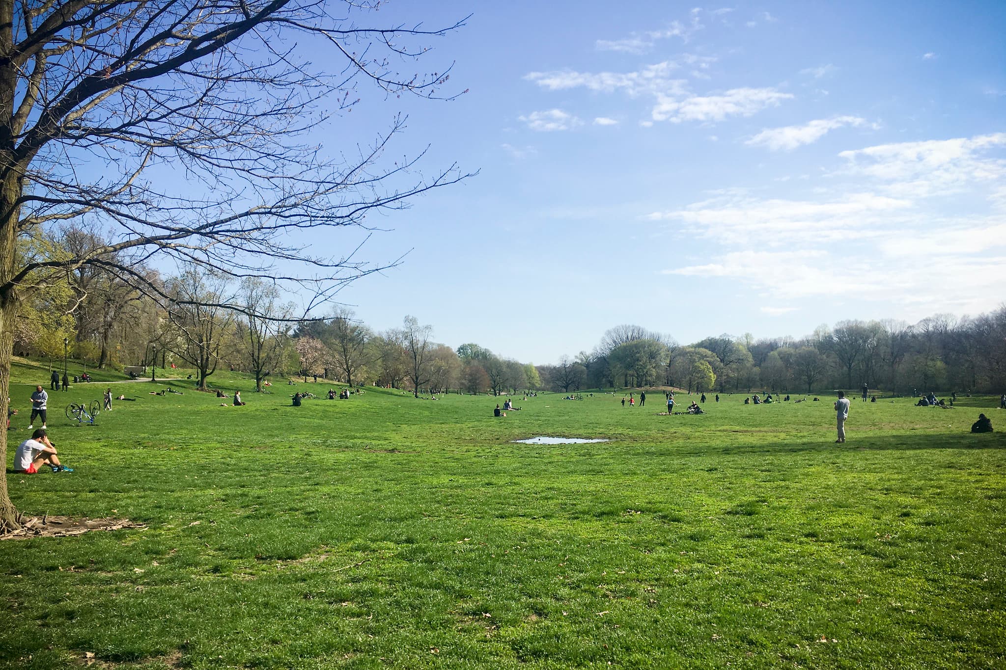 Best NYC neighborhoods to live in during the coronavirus pandemic