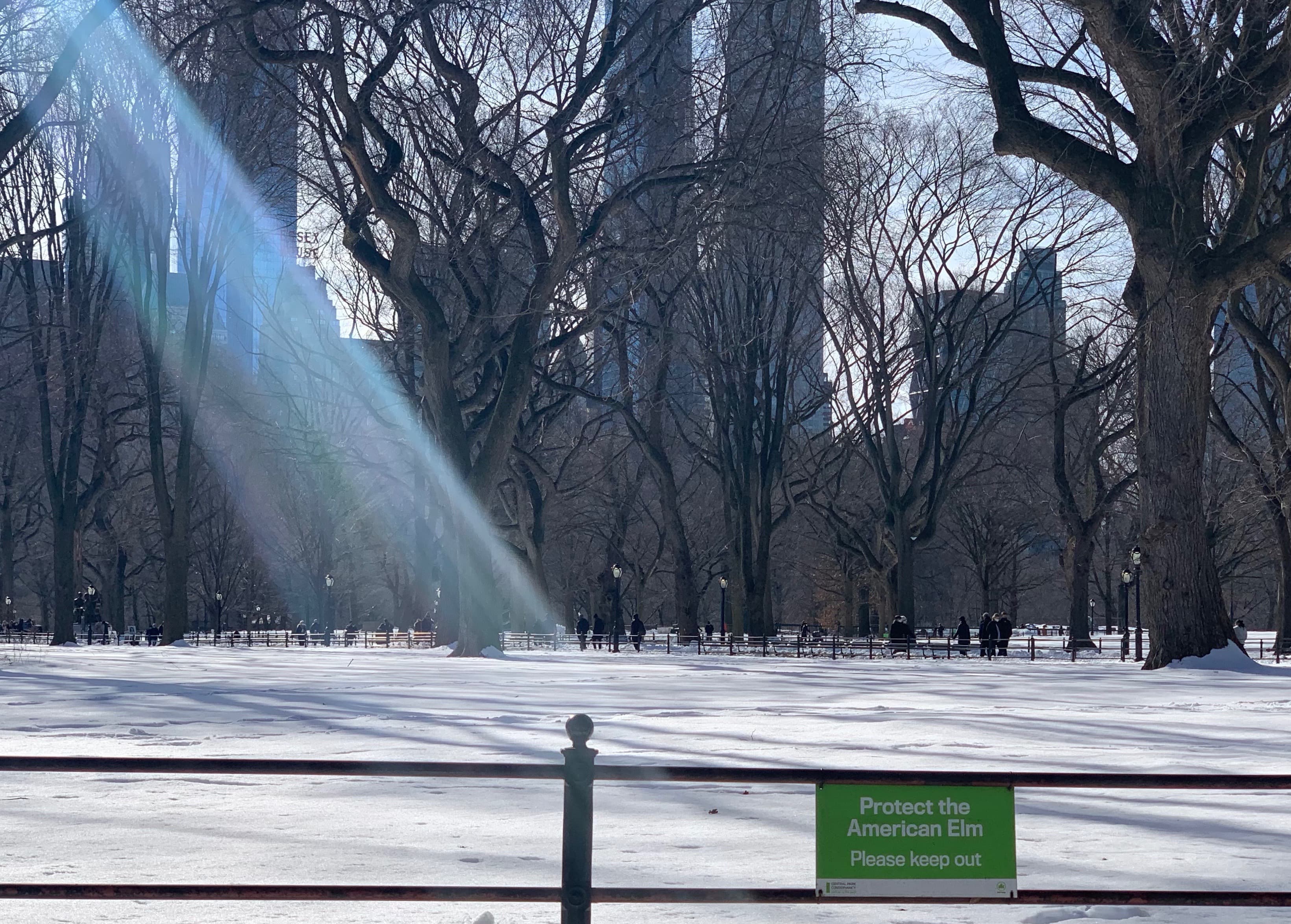 Houses for sale in Bedford, Manhattan signed contracts surge, & more