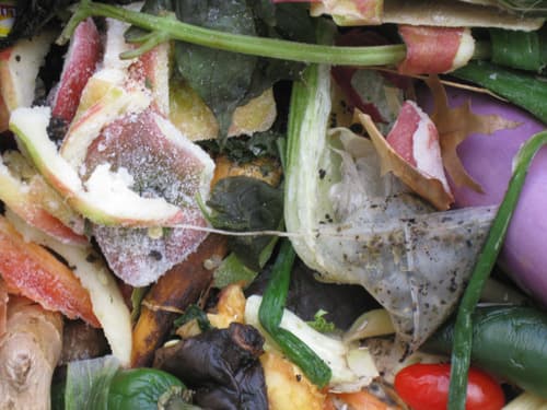 5 tips for solving the top composting quandaries 