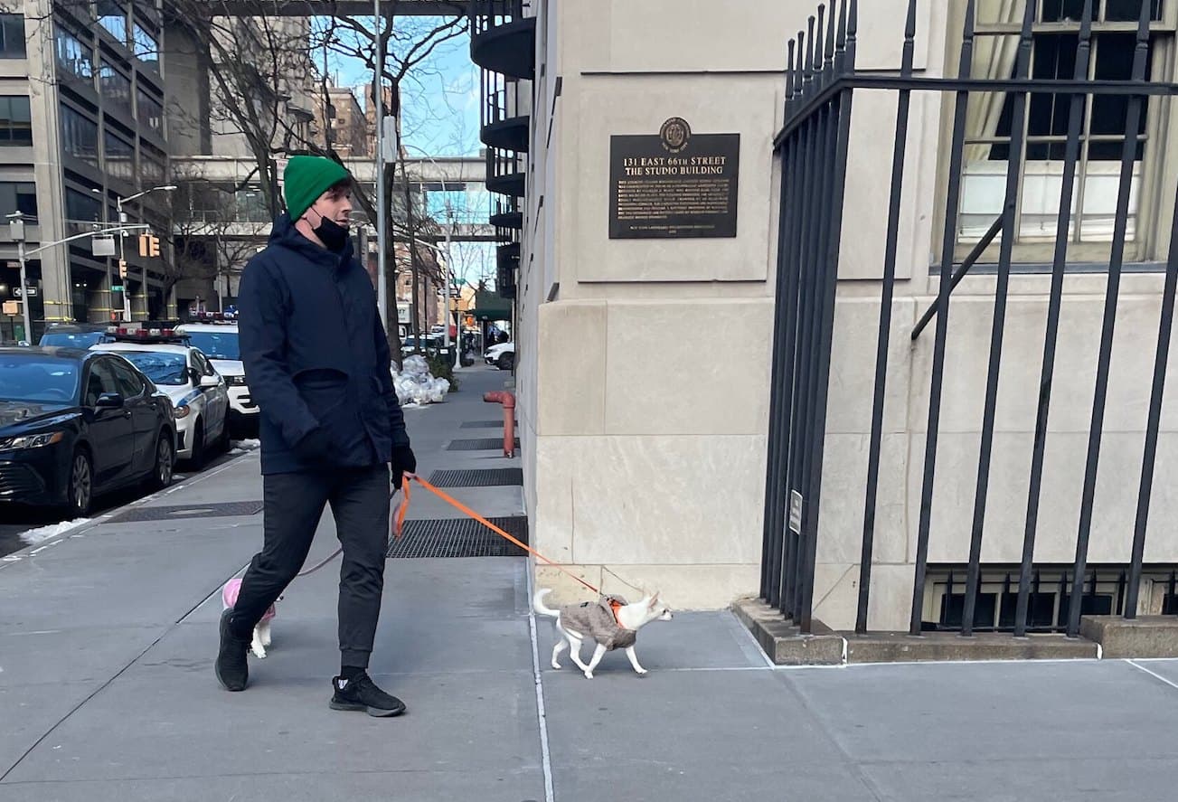 Dog tricks for co-op interviews, blocking evictions, & more