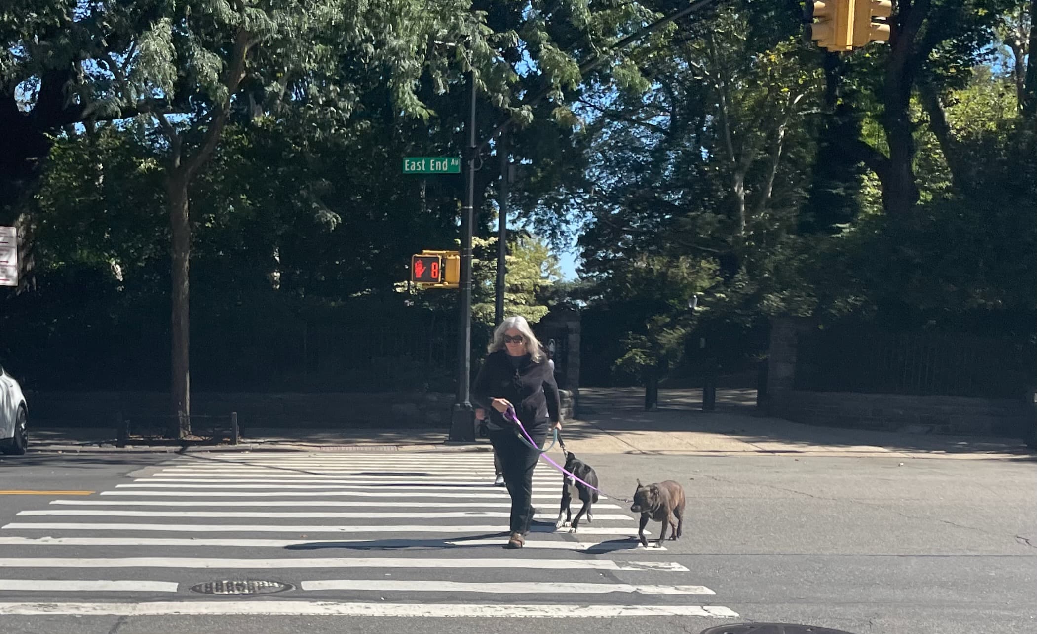  3,400 rent overcharge complaints, shocking conditions at East Village rental, & more