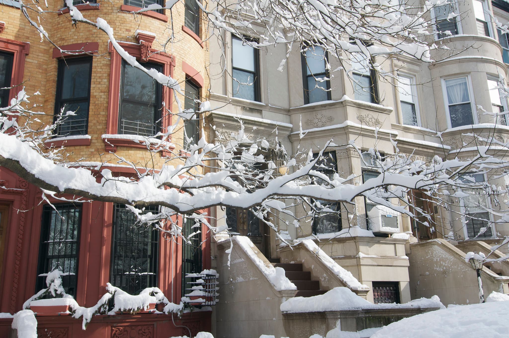 In Brooklyn, the children ask if you rent or own: An essay