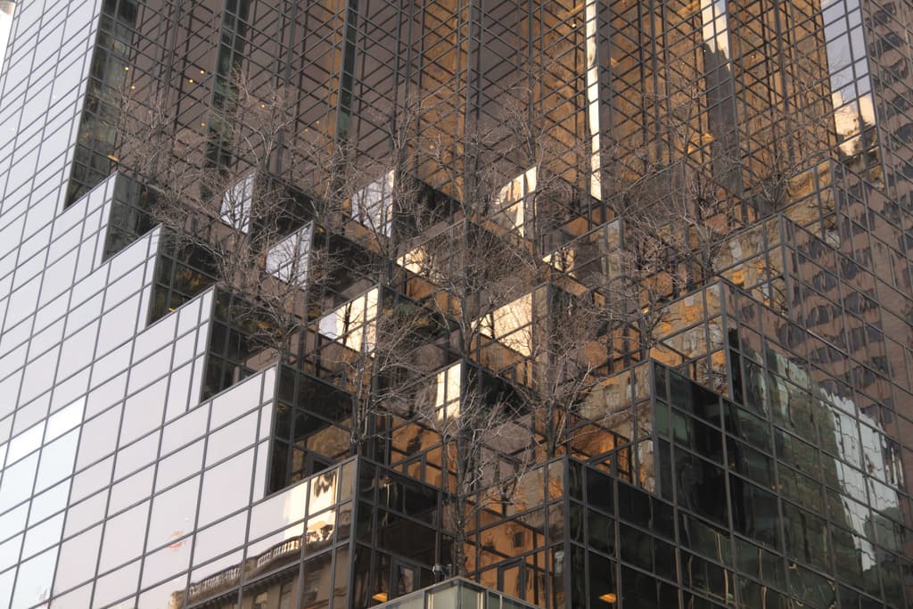 A $1,000 Christmas tree, why Trump buildings won't go up in value, and more