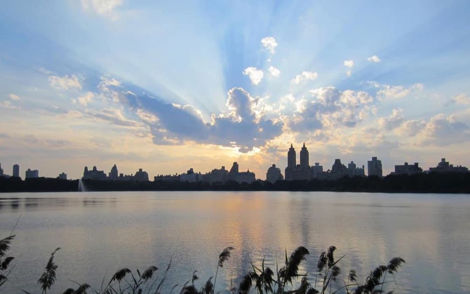 Real estate agent and blogger Malcolm Carter explains why he's giving up on New York