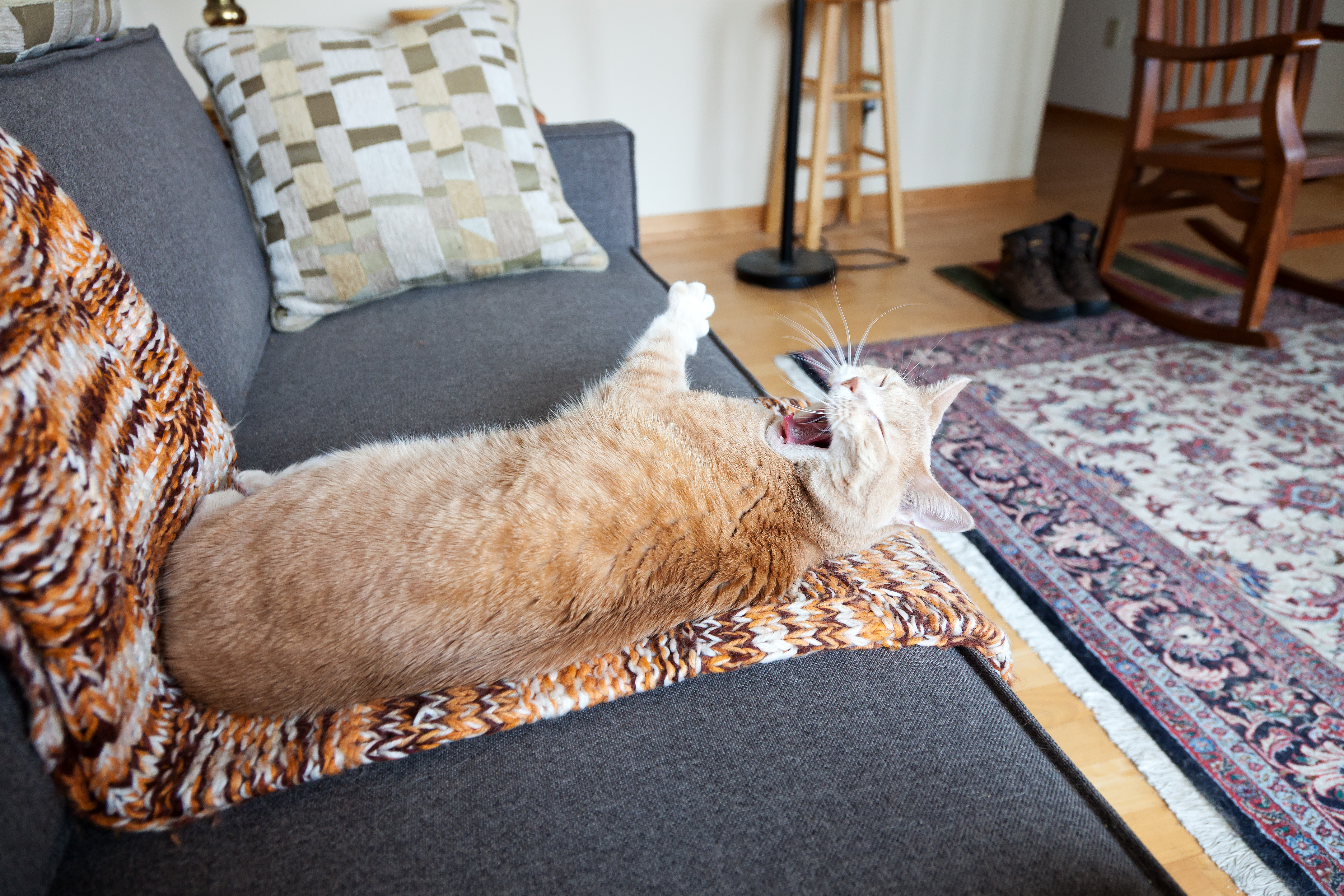 A rental with a hellish address, reading the fine print on your lease, and more