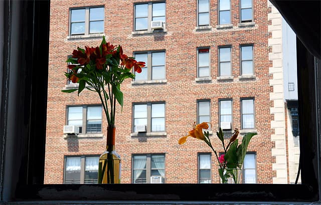 Room for Improvement: Dreaming of radiant floor heat and a window with an actual view of the outside